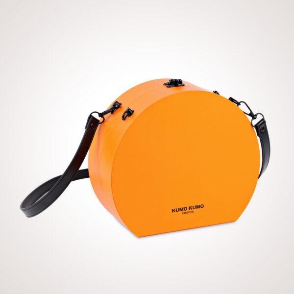 Multi-Compartment Bag